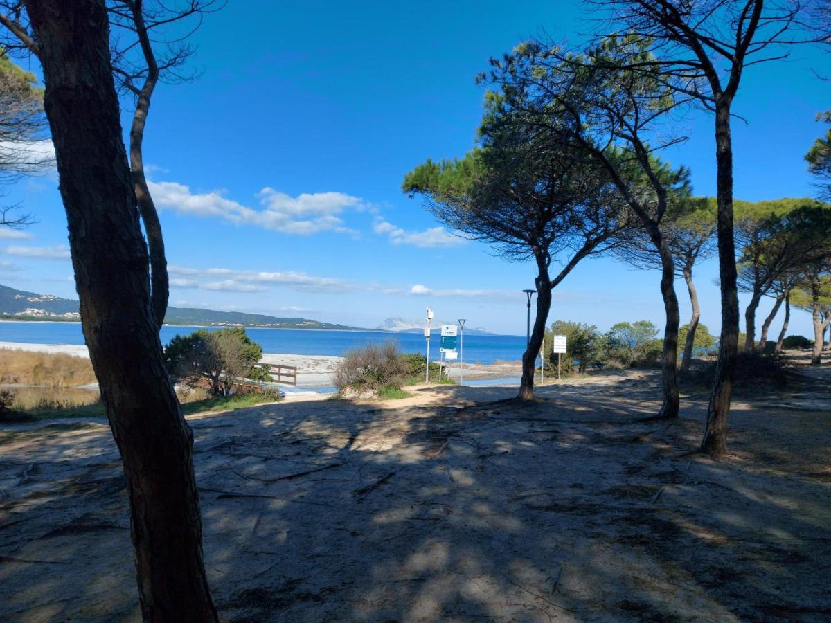Villetta Gallura 13 Budoni Exteriör bild